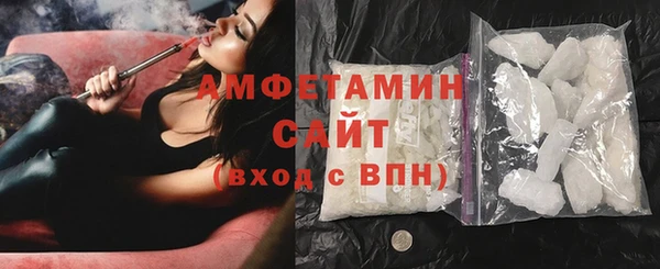 индика Володарск