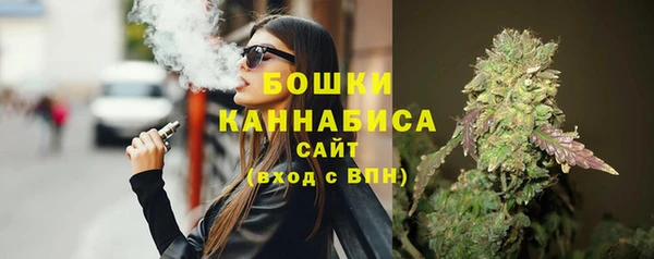 стаф Вяземский