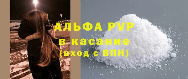 стаф Вяземский