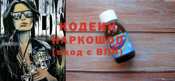 индика Володарск