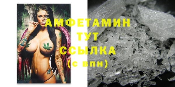 стаф Вяземский