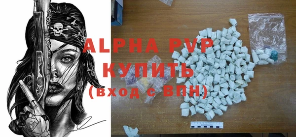стаф Вяземский