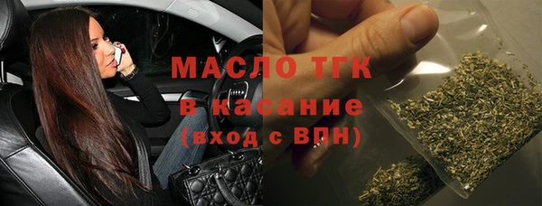 индика Володарск