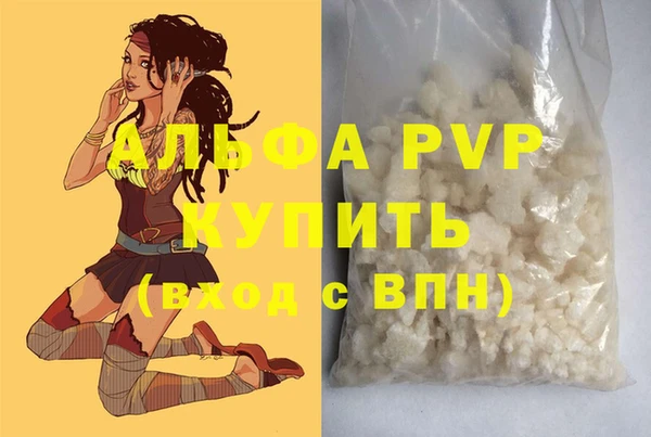 индика Володарск