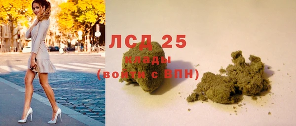 стаф Вяземский