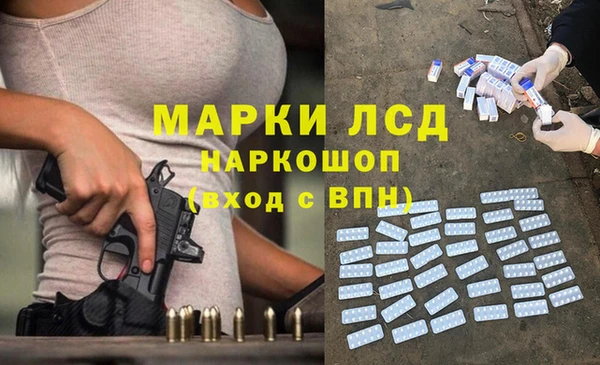 индика Володарск